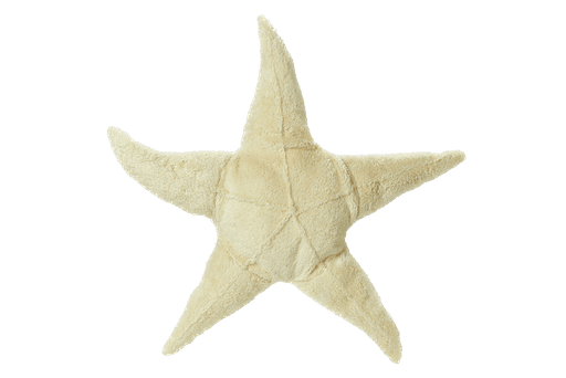 Senger Naturwelt – Grote Zeester Warmtekussen (Wit) ⭐🤍