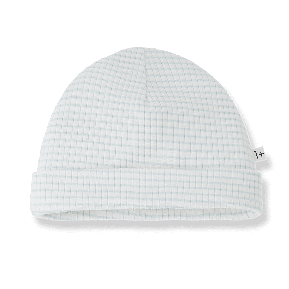 1+ in the family - Beanie - Green