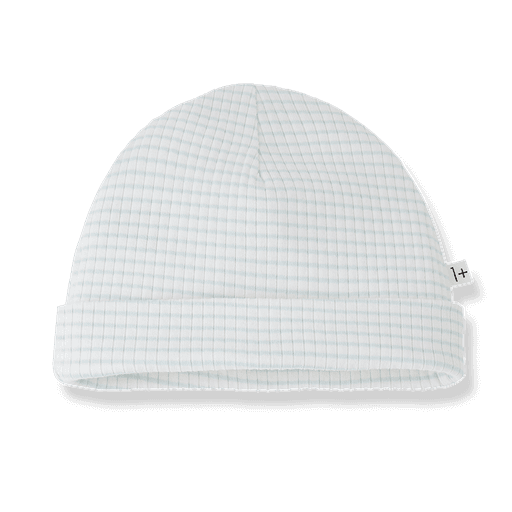 1+ in the family - Beanie - Green