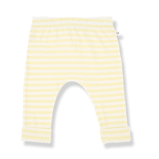 1+ in the family - Leggings - Pastel-yellow