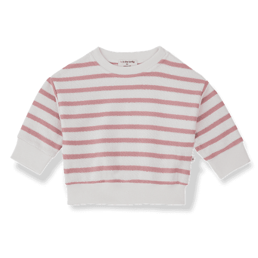 1+ in the family - Sweater - Strawberry