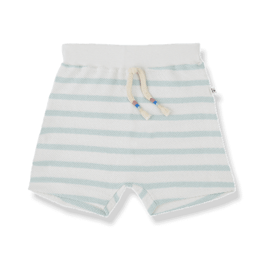 1+ in the family - Bermuda - Green