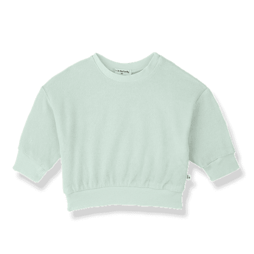 1+ in the family - Sweater - Green