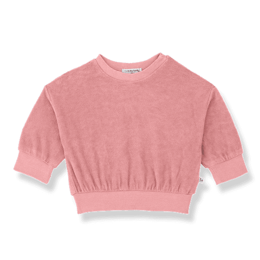 1+ in the family - Sweater - Strawberry